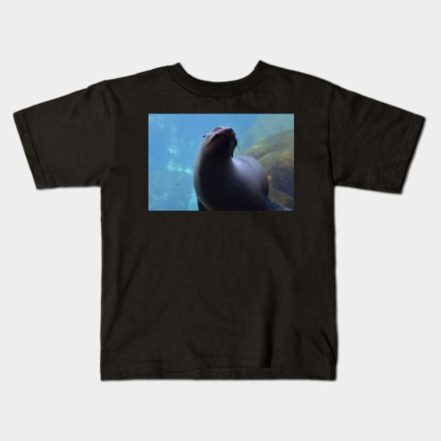 Sea Lion Kids T-Shirt by MarieDarcy